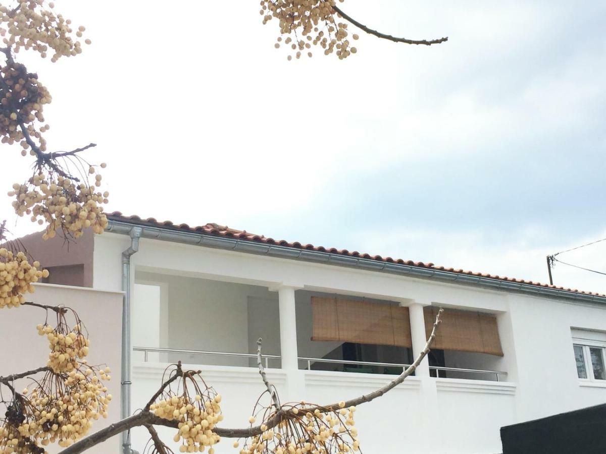 Apartman Luce Bibinje Exterior foto